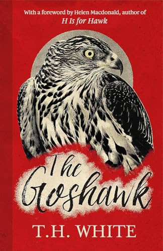 The Goshawk: With a foreword by Helen Macdonald von Weidenfeld & Nicolson